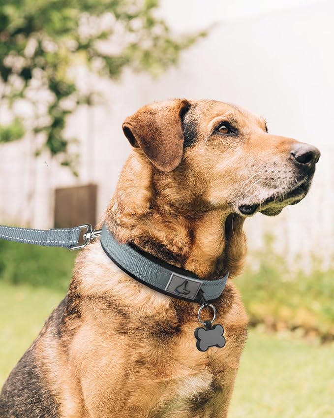 Joytale Dog Collar for Extra Large Dogs, Neoprene Padded and Adjustable - Image 3