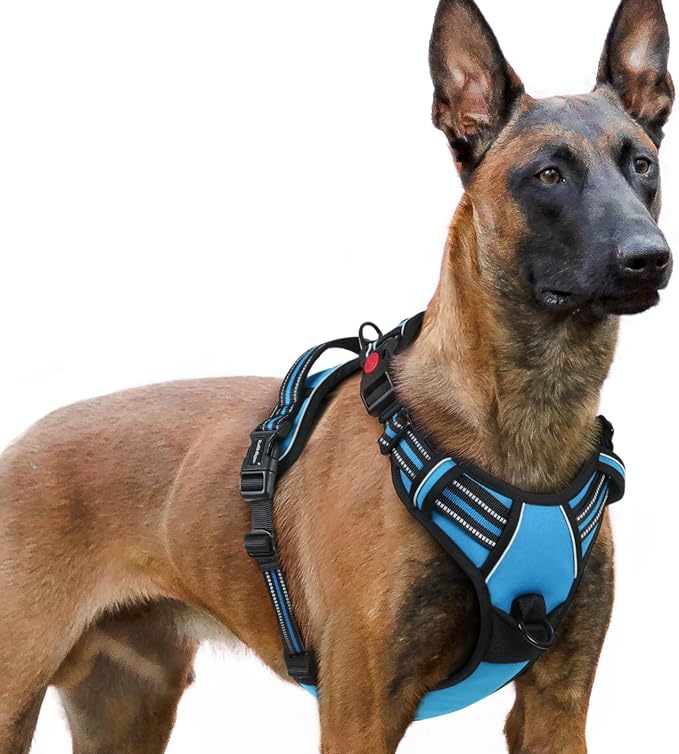 rabbitgoo Dog Harness for Large, No Pull Pet Harness by rabbitgoo