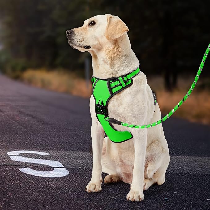 IVY&LANE No Pull Dog Harness for Small Dogs, Dog Vest Harness - Image 7