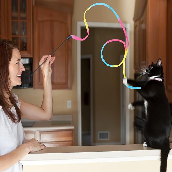 Cat Wand Rainbow Toy - Image 4