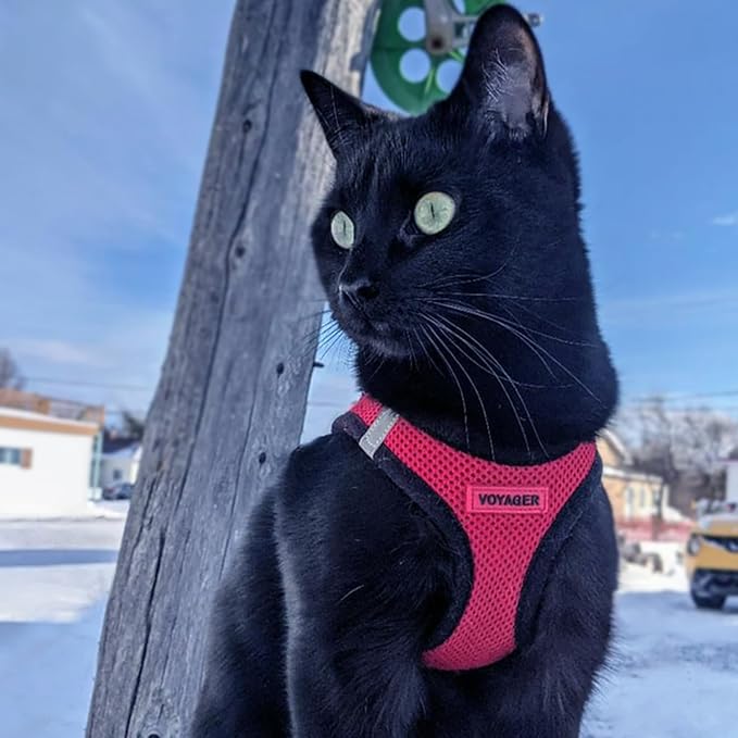 Best Pet Supplies Voyager Step-in Air Harness - Image 7