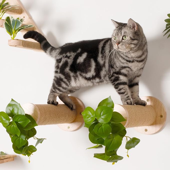 Meowoou 2PCS Cat Wall Shelves, 11.8 Inch Steps, Cats Wall Furniture Stairs - Image 5