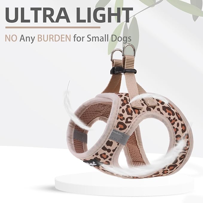 PUPTECK Dog Harness and Leash Set - Image 5