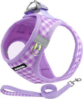 AIITLE Medium Dog Harness – Breathable Mesh by AIITLE-FORPETSBETTERLIFE