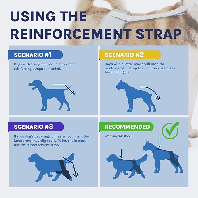 Dog Knee Brace for Torn ACL, Rear Leg Support for Joint Pain Relief and - Image 7