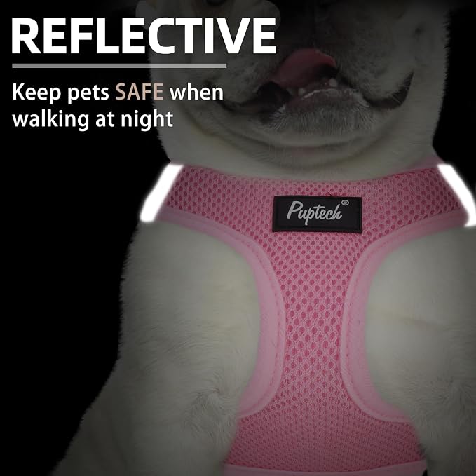 PUPTECK Dog Harness and Leash Set - Image 4