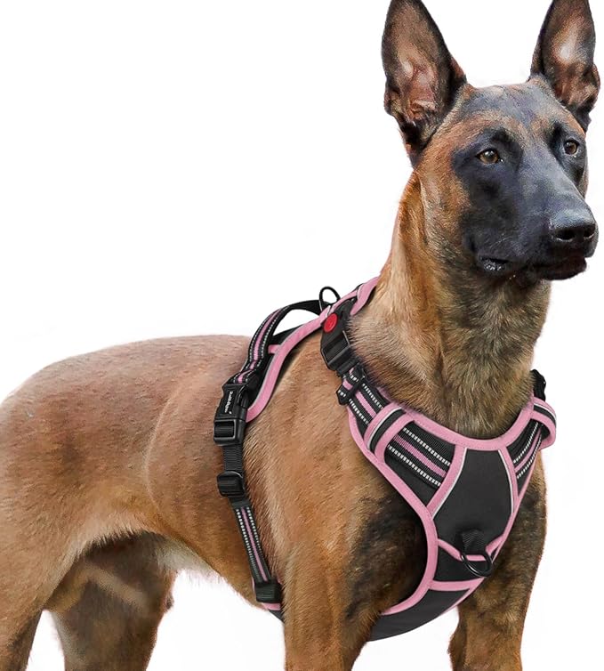 rabbitgoo Dog Harness for Large, No Pull Pet Harness by rabbitgoo