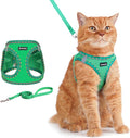 Rttochfy Cat Harness and Leash Set, Escape Proof Kitten Harness, Soft and by Rttochfy