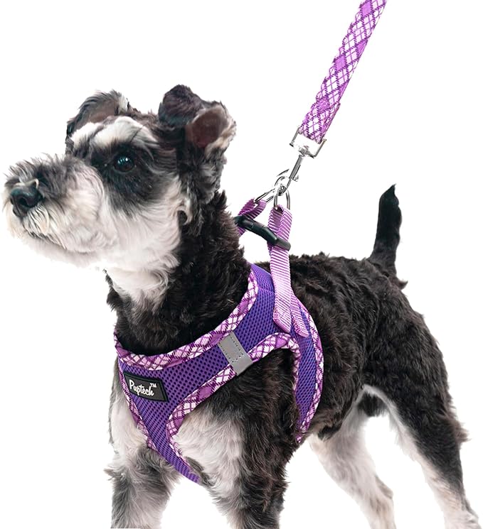 PUPTECK Dog Harness and Leash Set by PUPTECK
