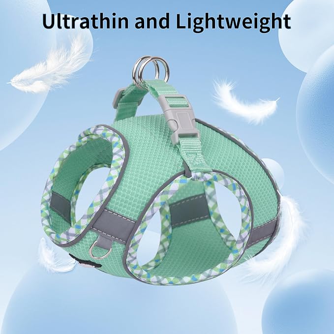 AIITLE Dog Harness and Leash Set - Image 6