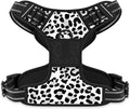 Rnivvi No Pull Dog Harness, Cute Leopard Reflective Medium Sized Puppy Kitten by Rnivvi
