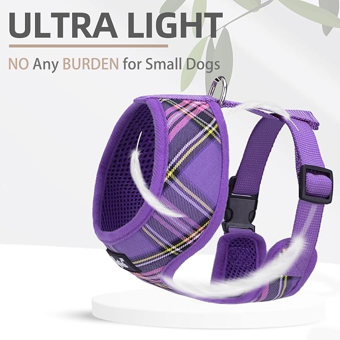 PUPTECK Soft Mesh Dog Harness and Leash Set Pet Puppy Cat Comfort Padded Vest - Image 5