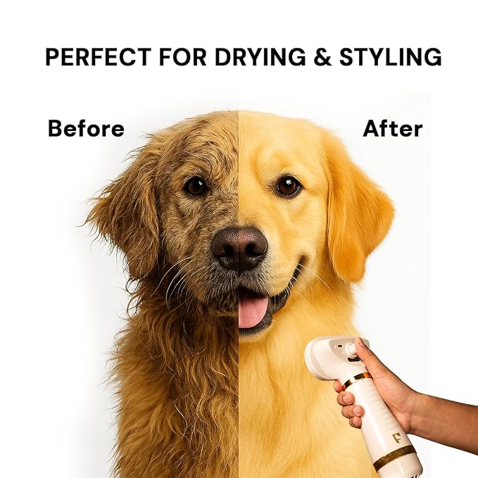 Pet Steam Brush Grooming Dryer for Dogs & Cats – 3-in-1 Grooming Tool - Image 8