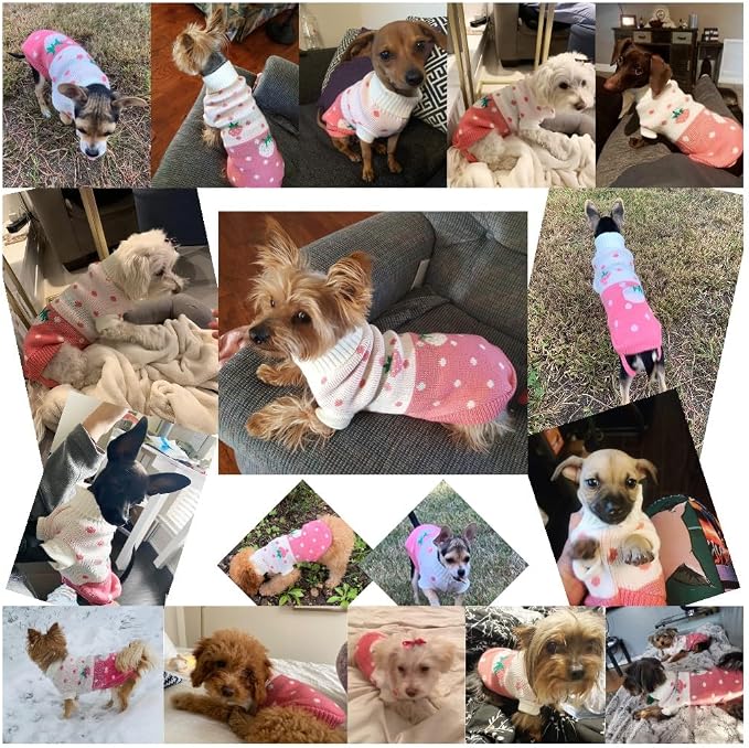 CHBORCHICEN Pet Dog Sweaters Classic Knitwear Turtleneck Winter Warm Puppy - Image 6