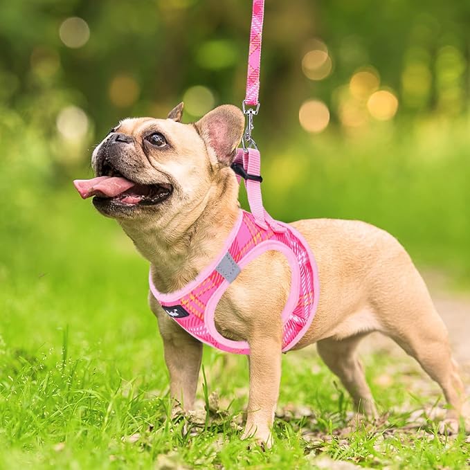 PUPTECK Dog Harness and Leash Set - Image 6