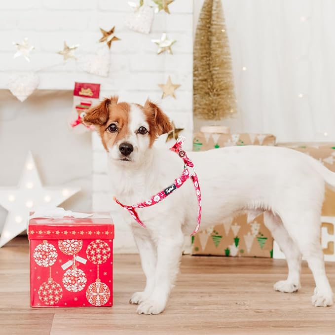 PUPTECK No Pull Christmas Dog Harness Soft Adjustable Basic Nylon Step in Puppy - Image 6