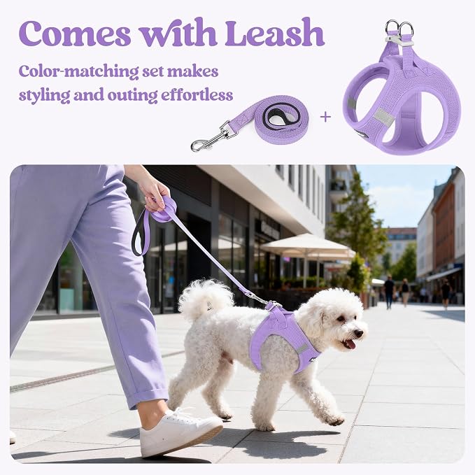 rabbitgoo Dog Harness Small Sized and Leash Set, Step in Soft Light Puppy Vest - Image 5