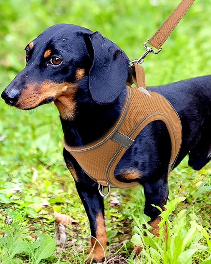 Joytale Small Dog Harness, Breathable Mesh Step-in Vest, Reflective Soft Padded - Image 2