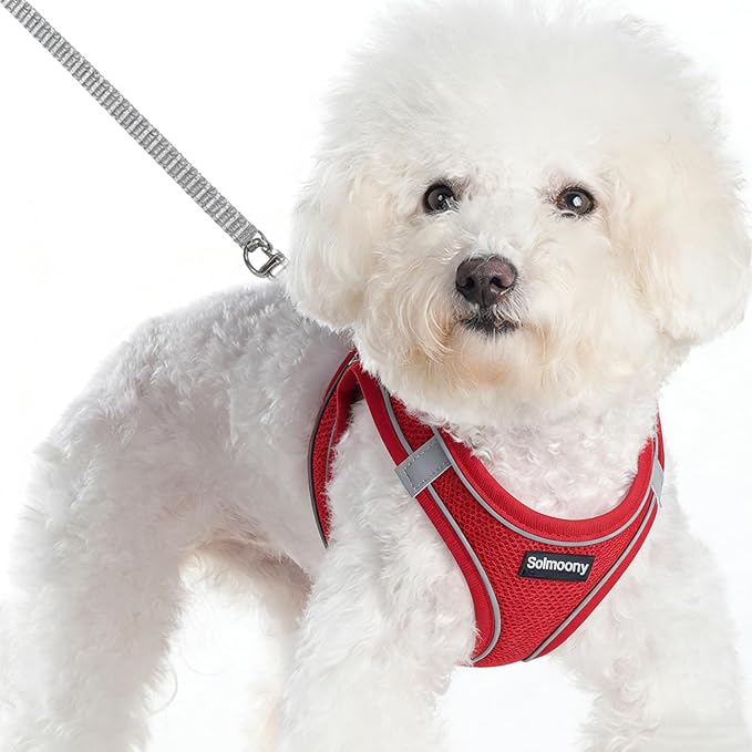 Solmoony Sparkly Medium Dog Harness and Leash Set, Step in Soft Light Puppy Vest - Image 2