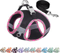 AIITLE Tiny Dog Harness by AIITLE-FORPETSBETTERLIFE