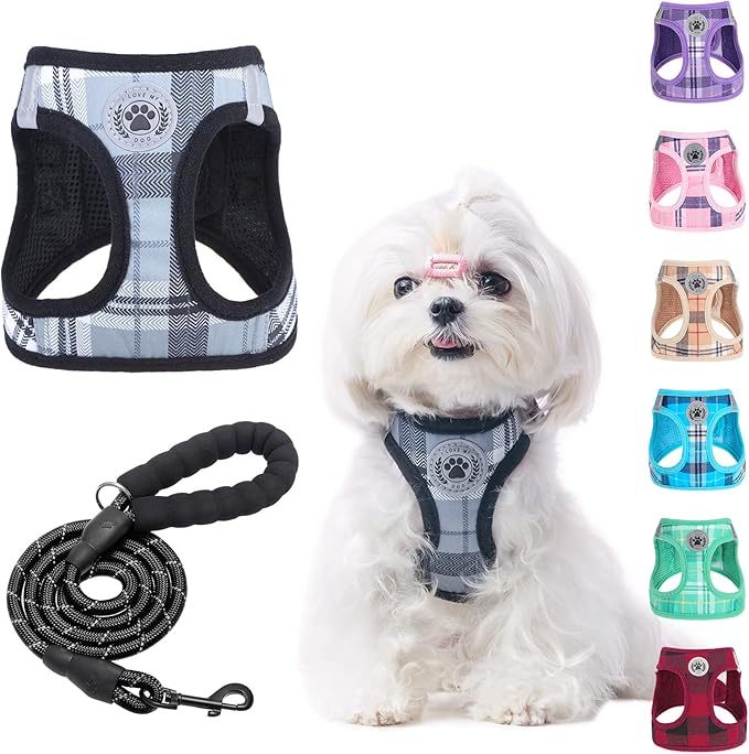 BEAUTYZOO Small Dog Harness and Leash Set, Step in No Choke No Pull Soft Mesh by BEAUTYZOO
