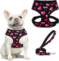 PUPTECK Soft Mesh Dog Harness and Leash Set Pet Puppy Cat Comfort Padded Vest by PUPTECK