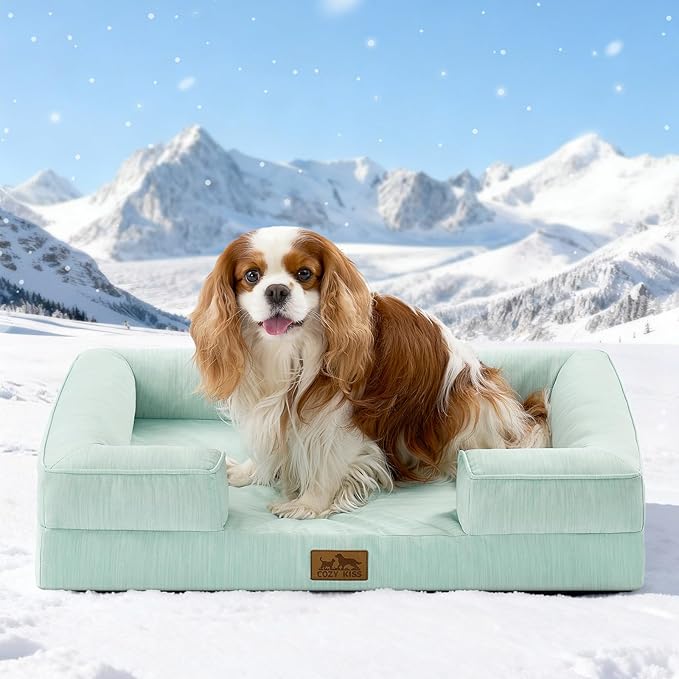 Cooling Dog Bed for Medium Small Size Dogs, Q-Max >0.4 Summer Cool Orthopedic by COZYKISS