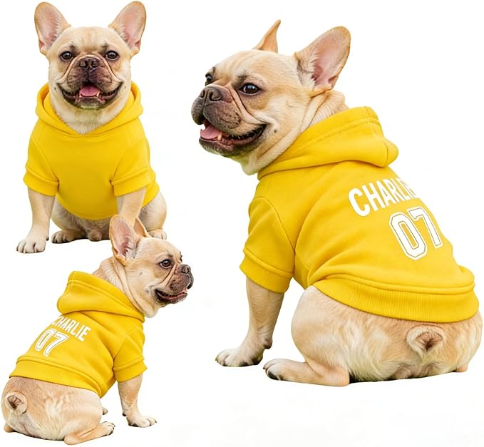 Custom Name Dog Hoodie, Personalized Pet Name Sweatshirt - Image 4