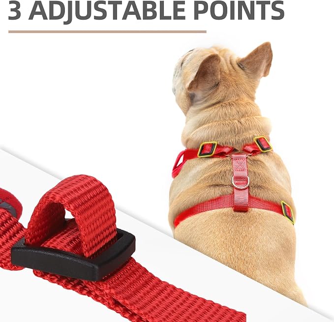 PUPTECK Christmas Small Dog Harness and Leash Set, No Pull Adjustable Puppy Cat - Image 2