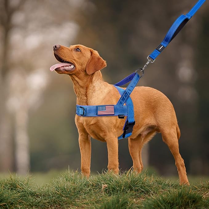 Annchwool No Pull Dog Harness - Image 6