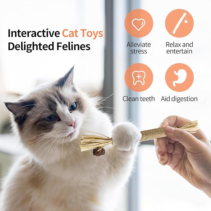 3 Pack Silvervine Sticks Cat Toys, 100% Natural Kitten Teething Chew Toys - Image 5