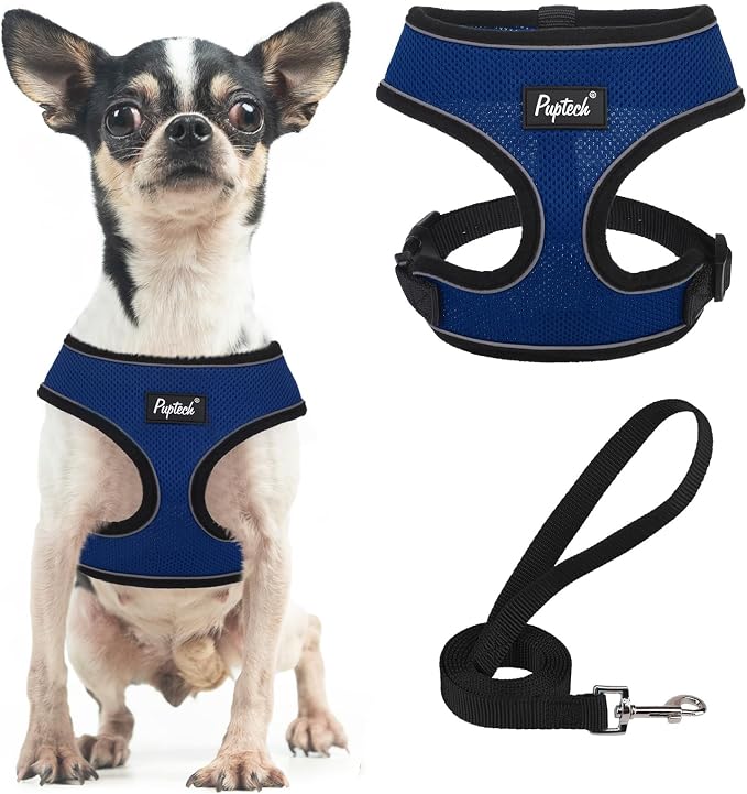 PUPTECK Soft Mesh Dog Harness and Leash Set Pet Puppy Cat Comfort Padded Vest by PUPTECK