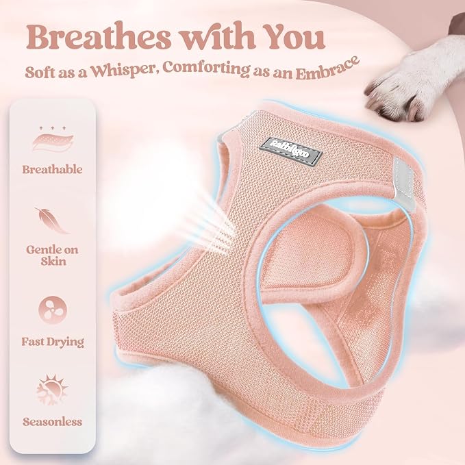 rabbitgoo Dog Harness Small Medium Sized and Leash Set, Step in Soft Light - Image 4