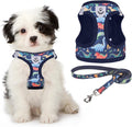 KOOLTAIL Dog Harness and Leash Set by KOOLTAIL
