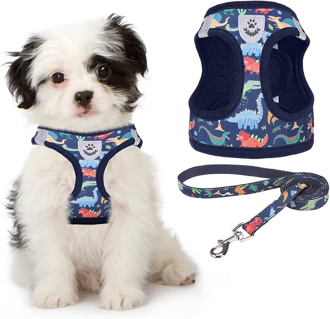 KOOLTAIL Dog Harness and Leash Set by KOOLTAIL