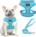 PUPTECK Soft Mesh Dog Harness and Leash Set Pet Puppy Cat Comfort Padded Vest by PUPTECK