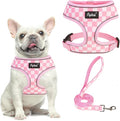 PUPTECK Soft Mesh Dog Harness and Leash Set Pet Puppy Cat Comfort Padded Vest by PUPTECK