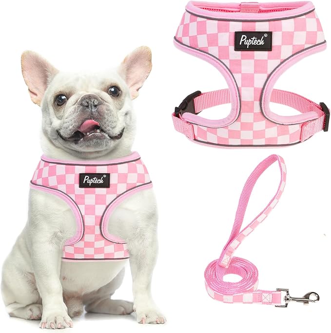 PUPTECK Soft Mesh Dog Harness and Leash Set Pet Puppy Cat Comfort Padded Vest by PUPTECK