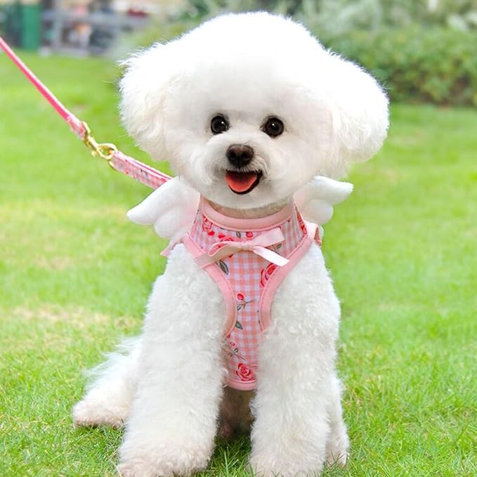 Dog Harness and Leash Set with Angle Wings, Pet Adjustable Mesh Vest Harness - Image 2