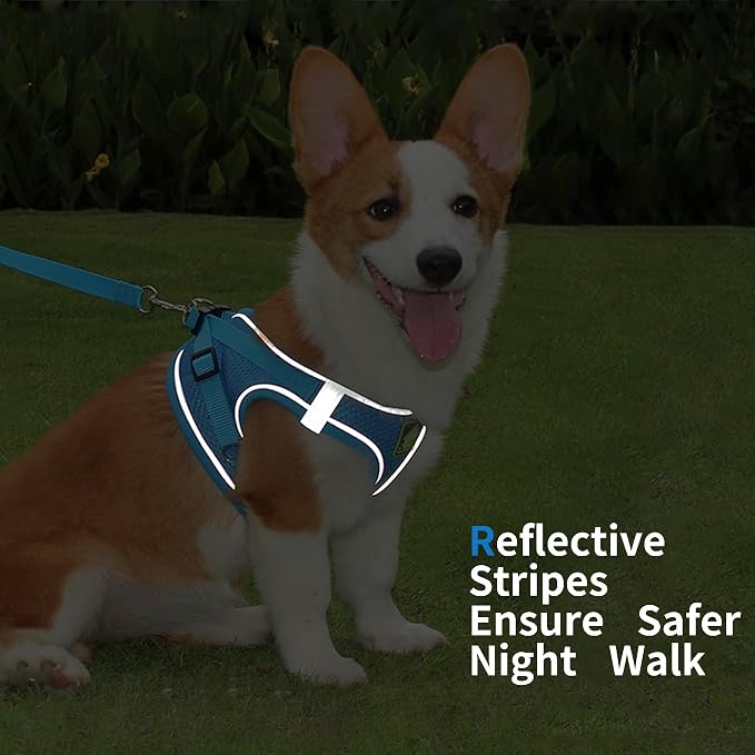 Step in Dog Harness with Leash Set, Adjustable Soft Padded and Breathable Mesh - Image 5