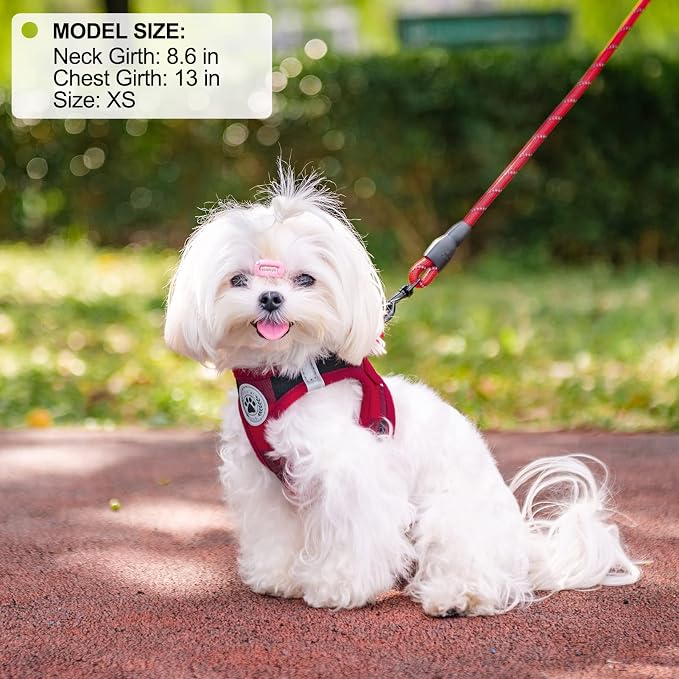 BEAUTYZOO Small Dog Harness and Leash Set, Step in No Choke No Pull Soft Mesh - Image 8