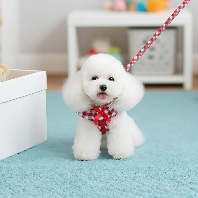 EXPAWLORER Cute Dog Harness Collar Leash Set - Image 8