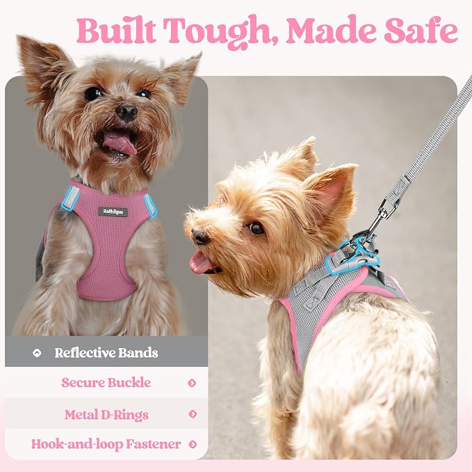 rabbitgoo Dog Harness Small Sized and Leash Set, Step in Soft Light Puppy Vest - Image 7
