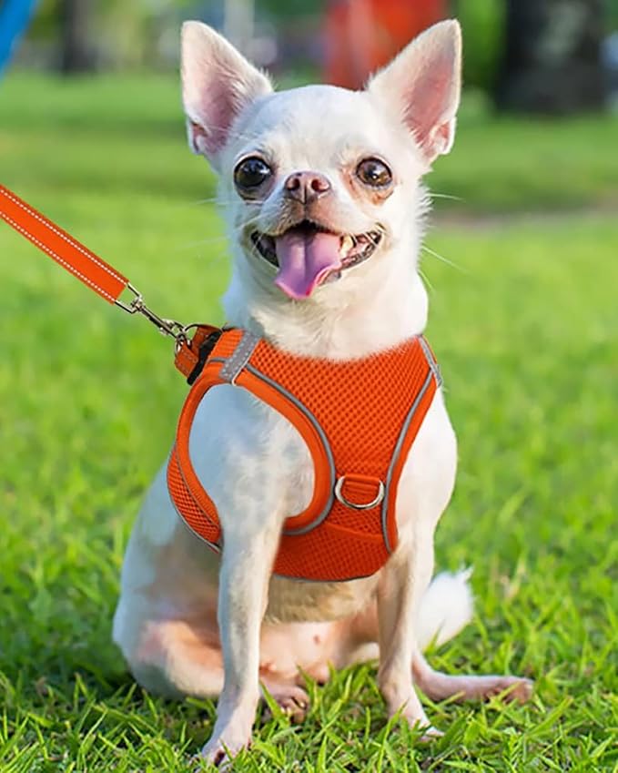 Joytale Small Dog Harness, Breathable Mesh Step-in Vest, Reflective Soft Padded - Image 2