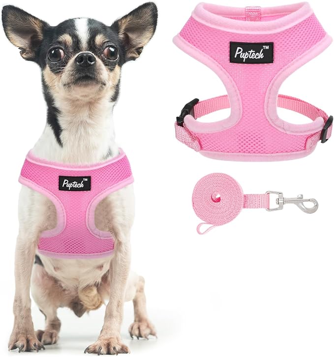 PUPTECK Soft Mesh Dog Harness and Leash Set Pet Puppy Cat Comfort Padded Vest by PUPTECK