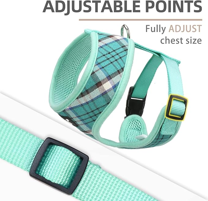 PUPTECK Soft Mesh Dog Harness and Leash Set Pet Puppy Cat Comfort Padded Vest - Image 3