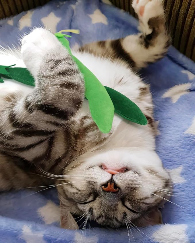 CiyvoLyeen Catnip Toy - Image 5