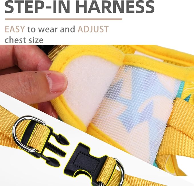 PUPTECK Dog Harness and Leash Set - Image 3