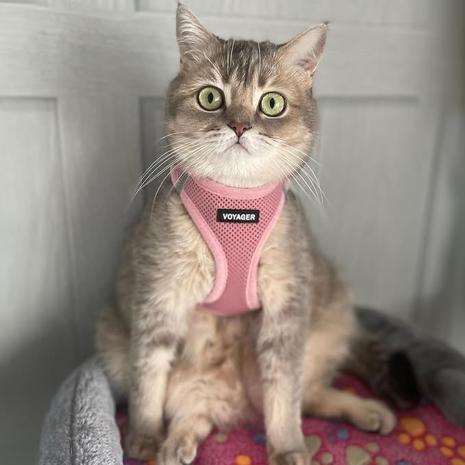 Voyager Step-in Pet Harness - Image 7