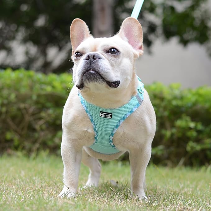 Mercano Soft Mesh Dog Harness and Leash Set, No-Chock Step-in Reflective - Image 4